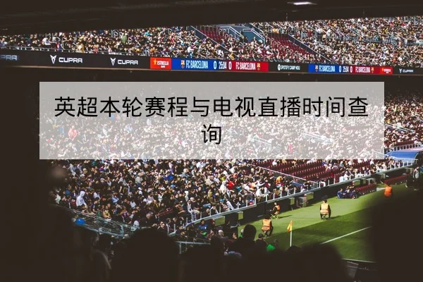 CBA球员伤停名单与复出窗口查询